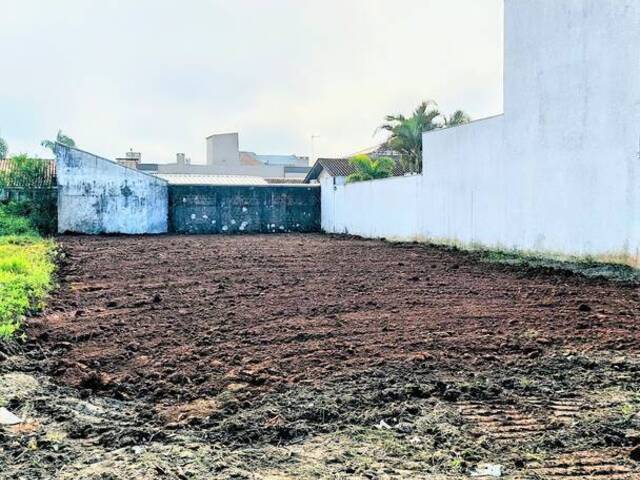 #TM703 - Terreno para Venda em Guaratuba - PR