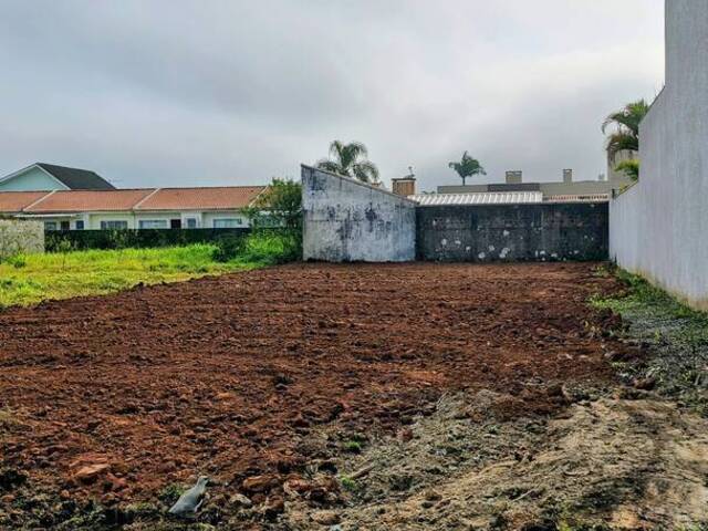 #TM703 - Terreno para Venda em Guaratuba - PR