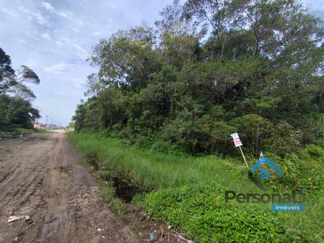 #PL708 - Terreno para Venda em Guaratuba - PR