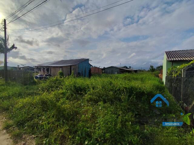 Área para Venda em Guaratuba - 3